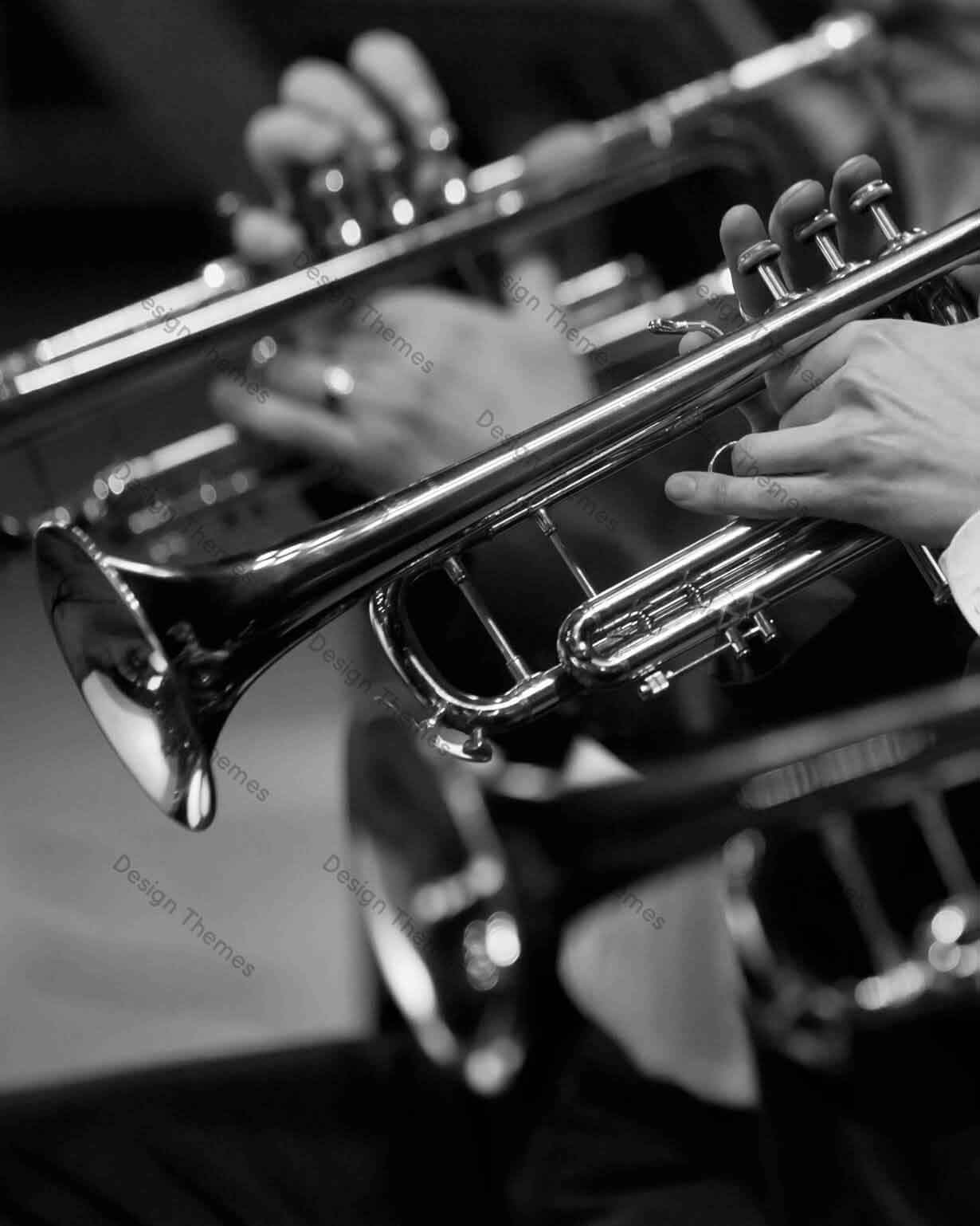 Vestibulum pellentesque metus